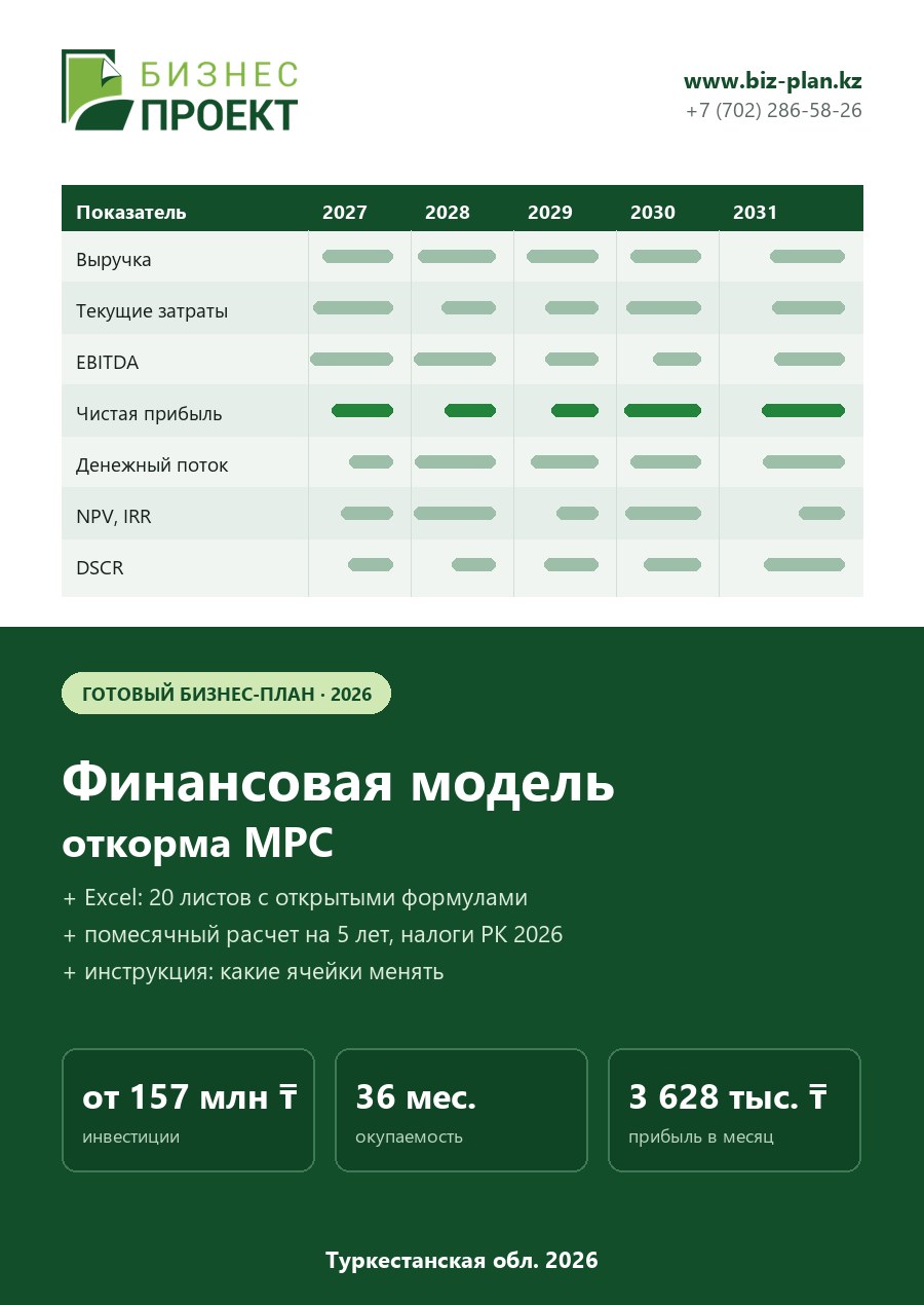 Обложка финансовой модели