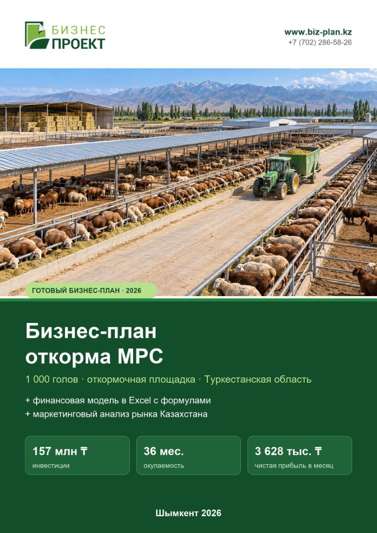 Обложка: Бизнес-план откорма МРС (ягнят)